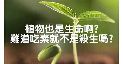 植物是生命嗎 燁 意思